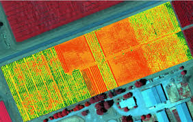 Imagen multiespectral de fincas