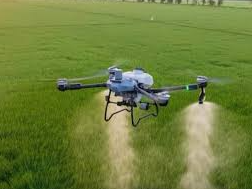 dron aplicando abono foliar en plantación de cereales