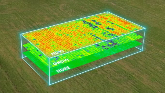 análisis multiespectral de cultivo