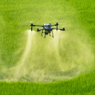 dron tratando cultivo de cereales